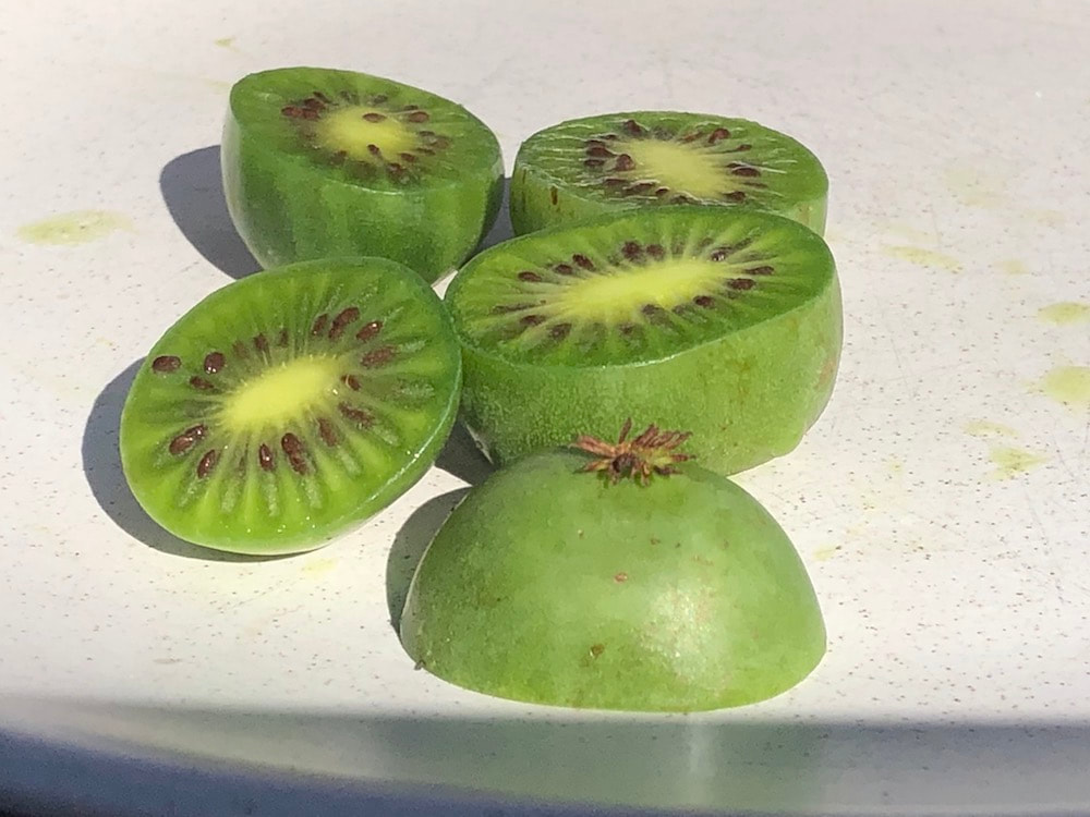 Food: They are called Kiwi Berries, slightly bigger than a grape but with a sweater kiwi taste.
