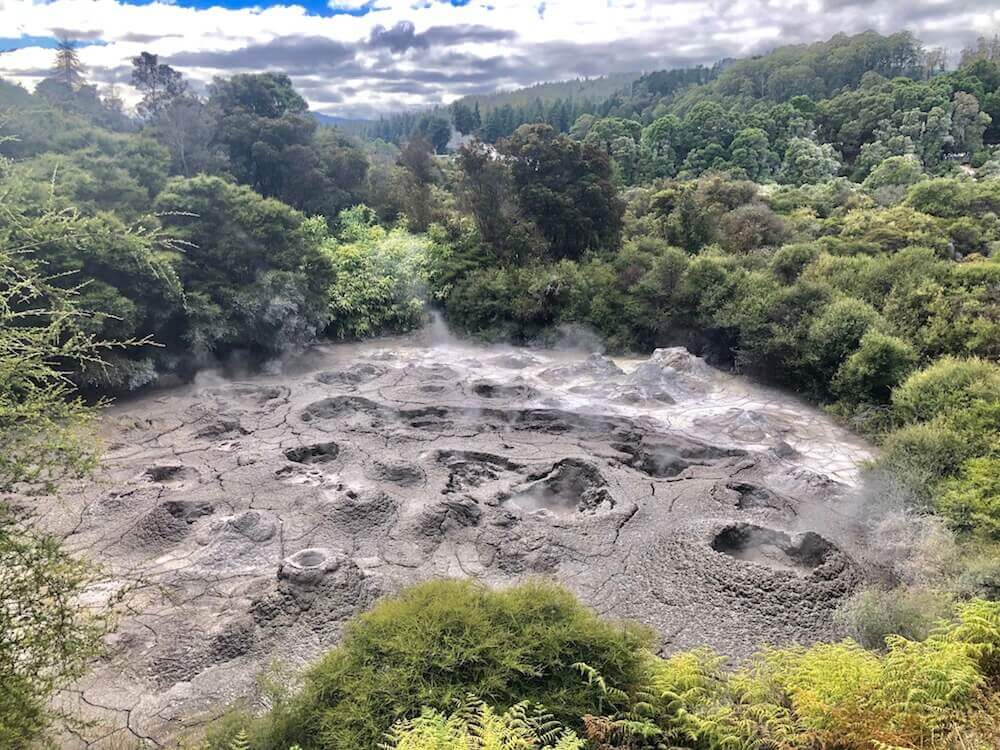 Rotorua, North Island: Even the mud is boiling...
