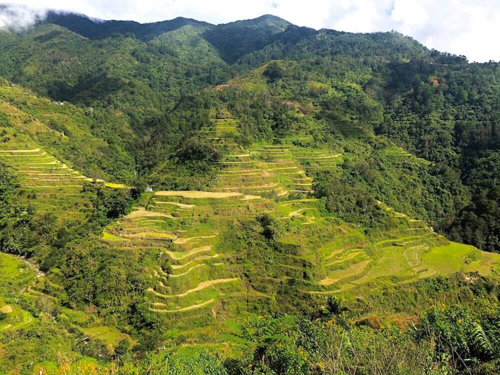 Banaue, Luzon: More rice terraces
