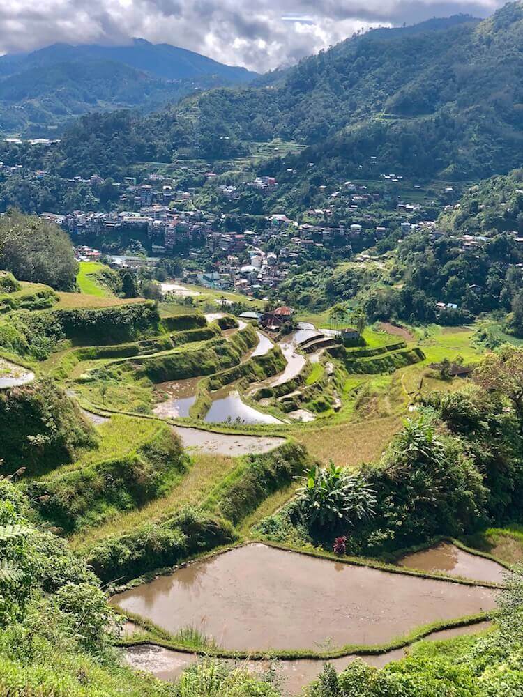Banaue, Luzon: The small village of Banaue with its rice terraces.

