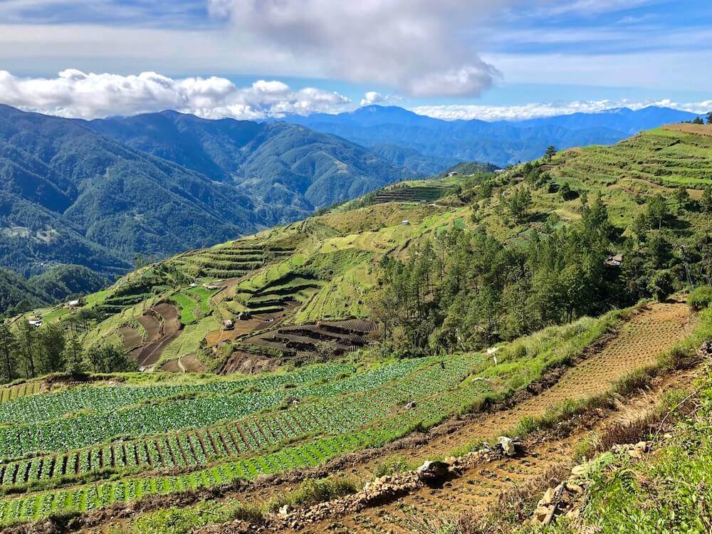 Mount Pulag, Luzon: Vegetable farms on my way up Philippines second-highest peak, Mount Pulag (2928m).
