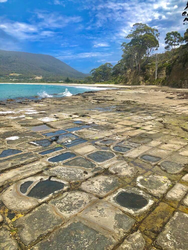 Tessellated Pavement, Tasmania: Those cuts in the rock might look human-made, but they are the work of the sea. The ocean has a curious sense of geometry.
