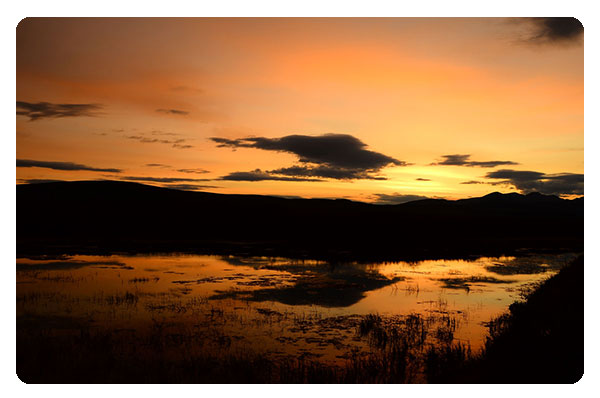 Dear Silence (Sunset with Water Reflexion)